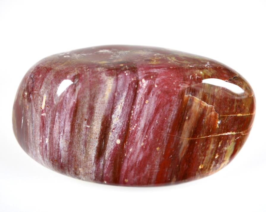 Large Fossil Wood Pebble 9.3cm