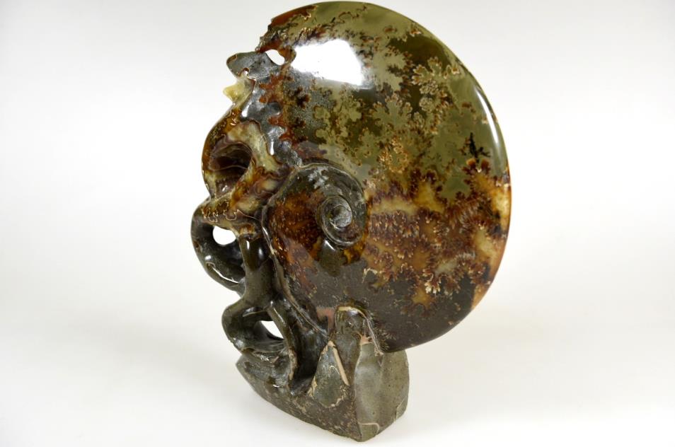 Large Ammonite Carving 17.5cm