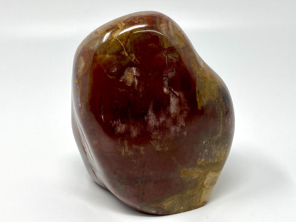 Large Fossil Wood Freeform 10.3cm