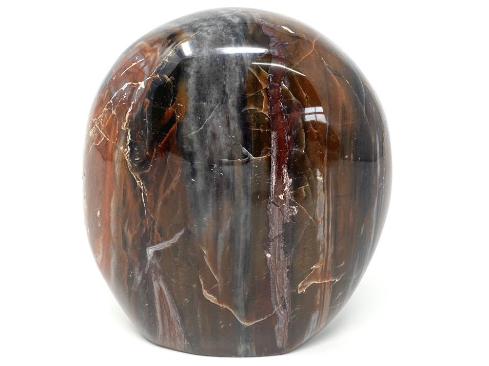 Large Fossil Wood Freeform 11.3cm