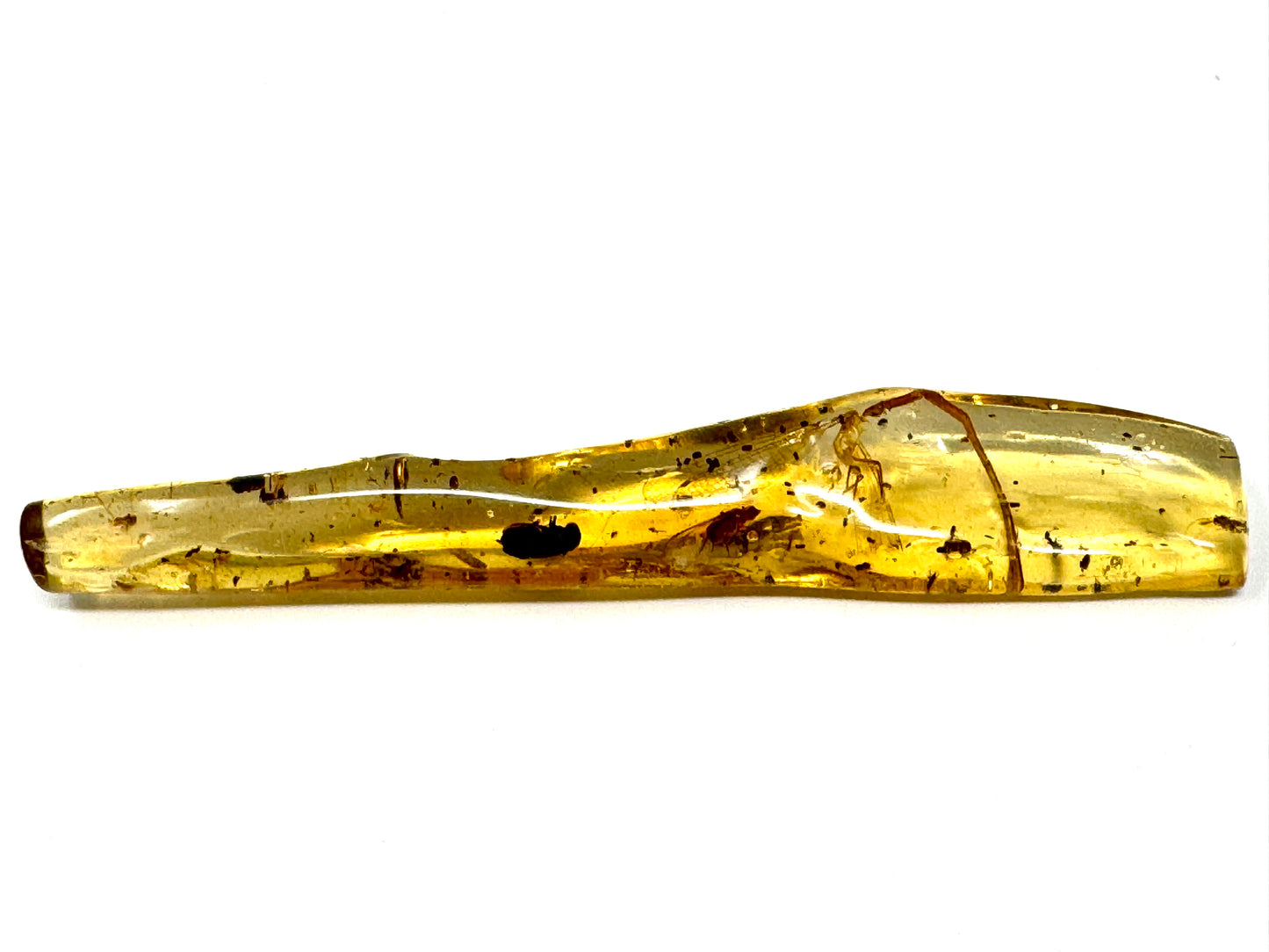Copal With Insects 12.6cm