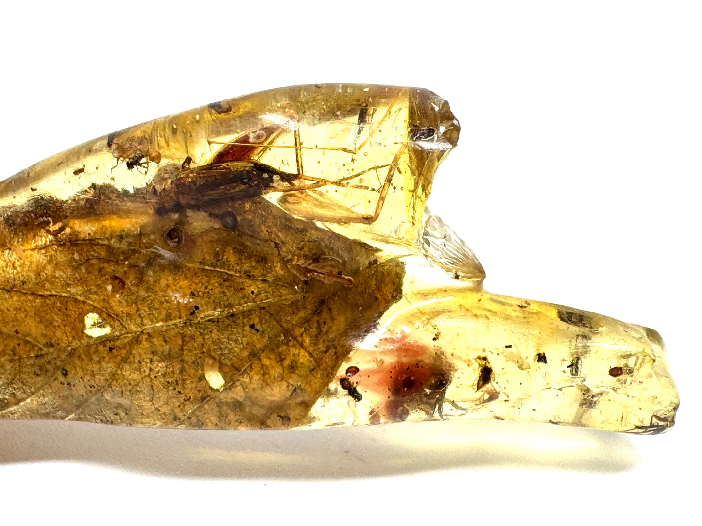 Copal With Insects 5.7cm