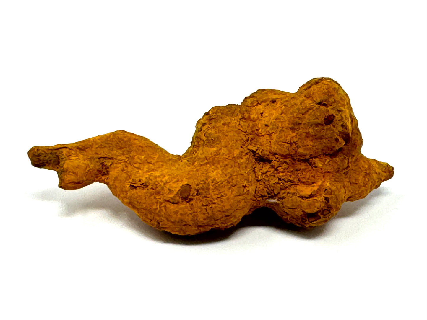 Coprolite Fossil 8.5cm