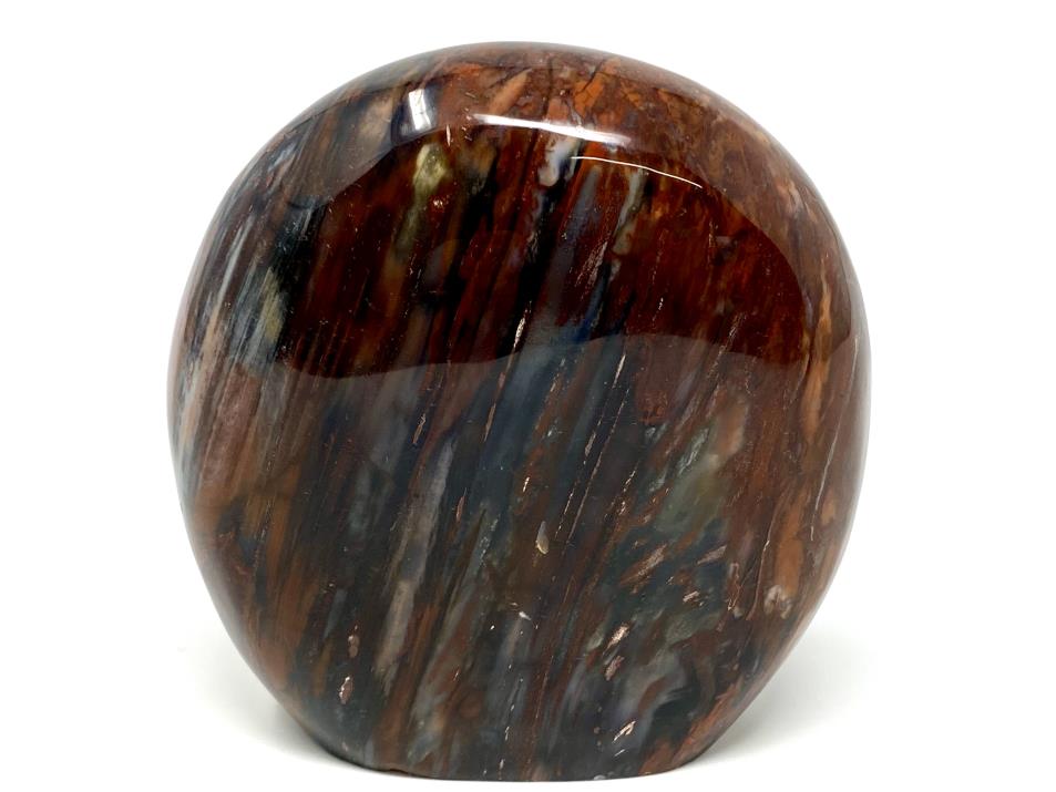 Large Fossil Wood Freeform 12.5cm