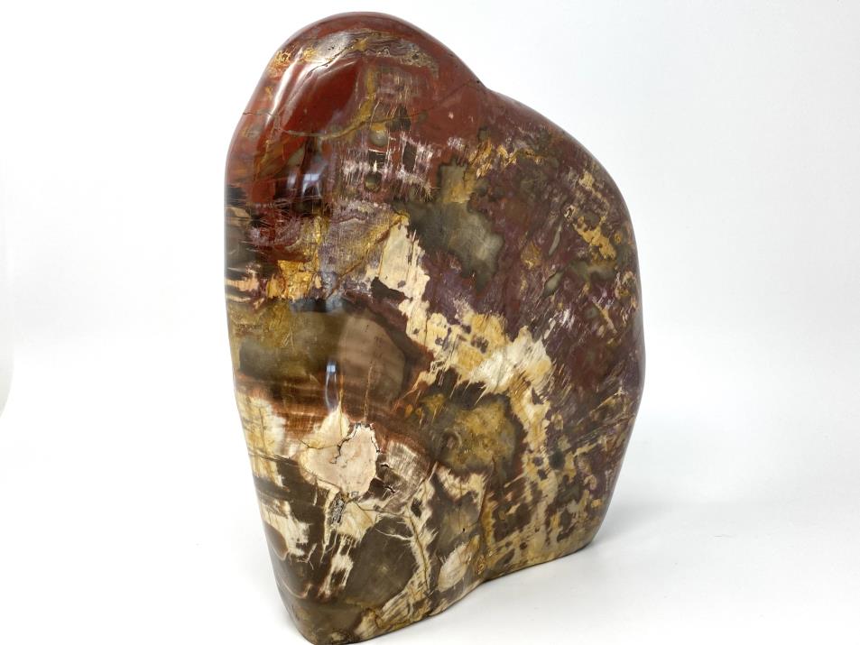 Very Large Fossil Wood Freeform 24cm