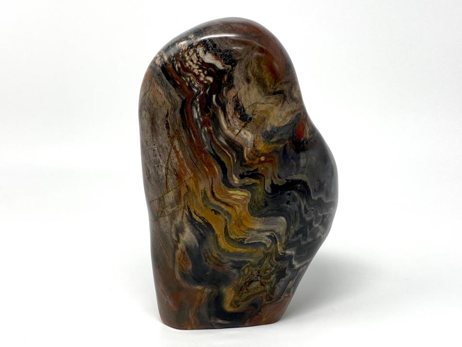 Large Fossil Wood Freeform 19.7cm