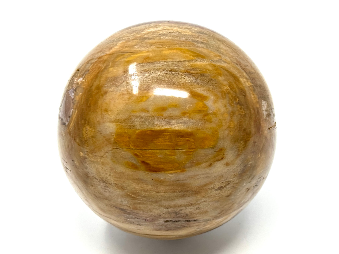 Large Fossil Wood Sphere 9.2cm