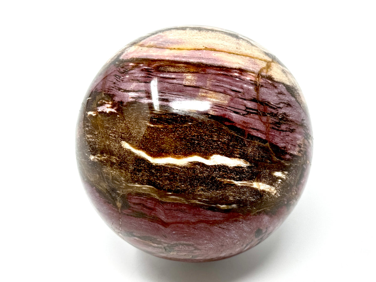 Fossil Wood Sphere 8.8cm