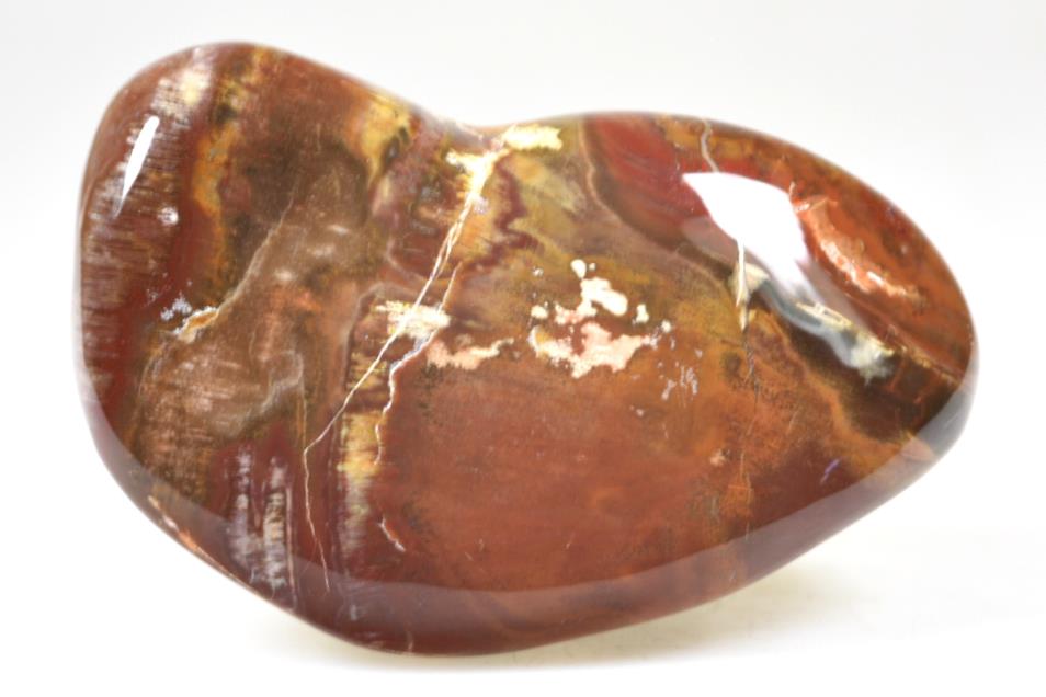 Large Fossil Wood Pebble 9.6cm