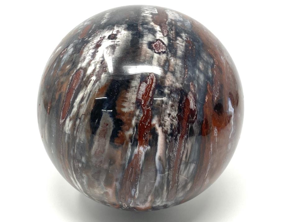 Large Fossil Wood Sphere 12.6cm