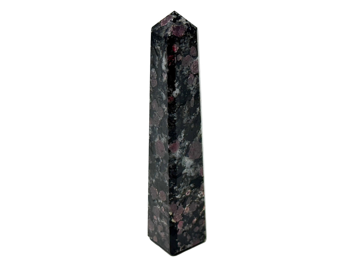 Garnet in Black Tourmaline Crystal Tower 10.2cm