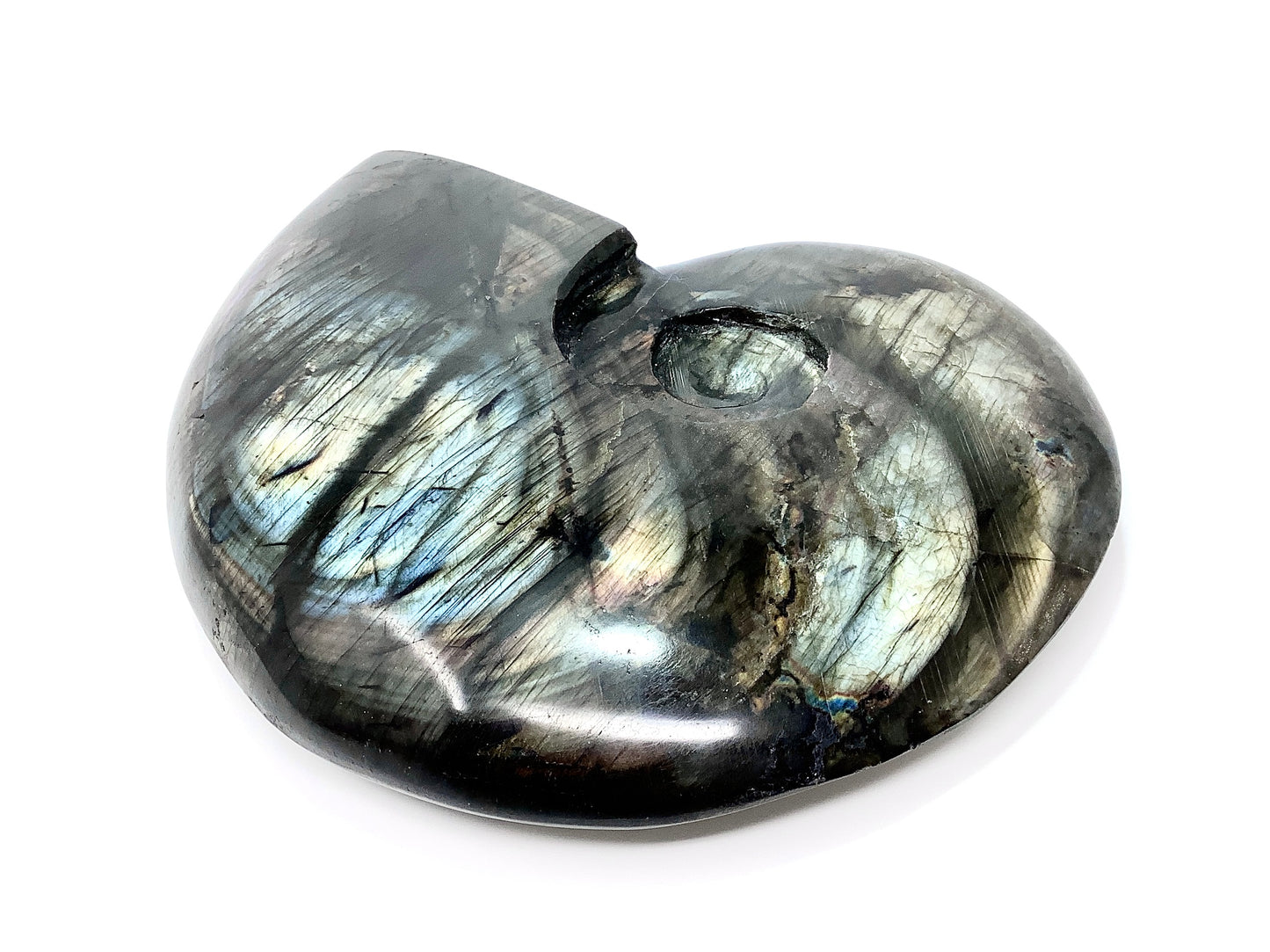 Large Labradorite Ammonite Crystal Carving 19.5cm