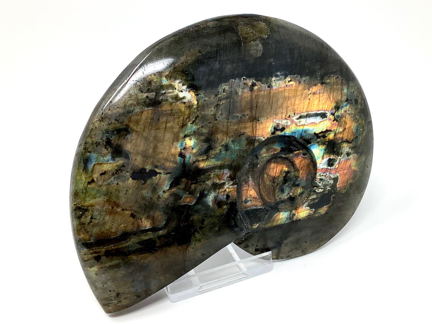 Large Labradorite Ammonite Crystal Carving 12.8cm