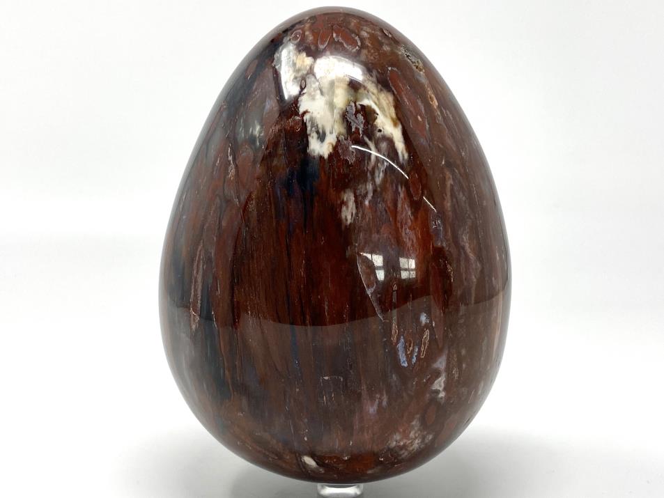 Large Fossil Wood Egg 15.1cm