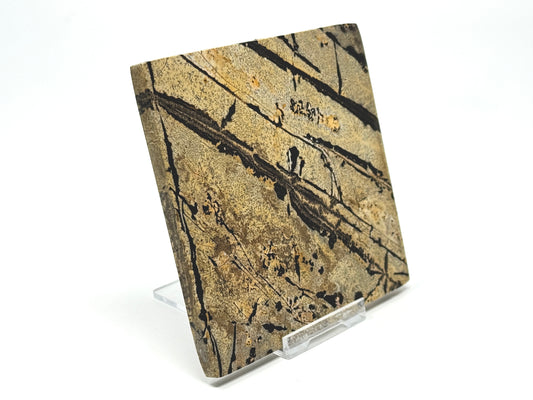 Picture Jasper crystal Slice 10cm