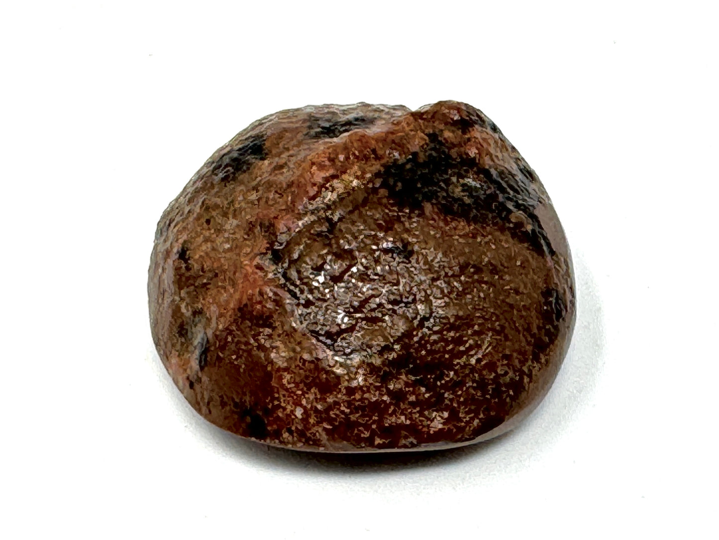 Ethiopian Shewa Opal: Polished Chocolate Opal Gemstone 5.59 grams