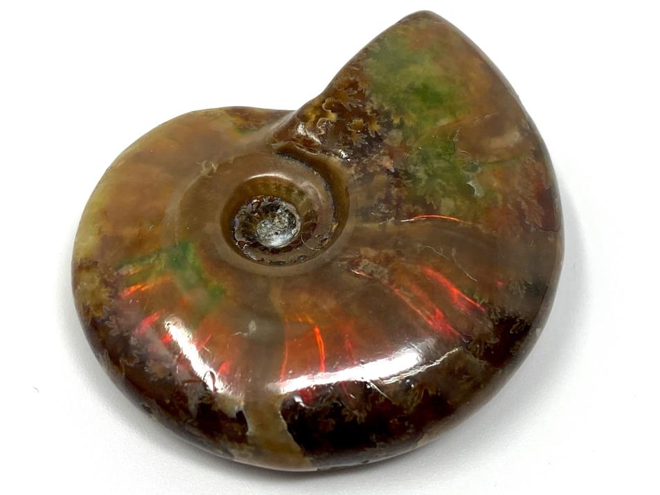 Natural Iridescent Ammonite Facet Specimen Fossil Madagascar Collectible Stone E - Foto 12