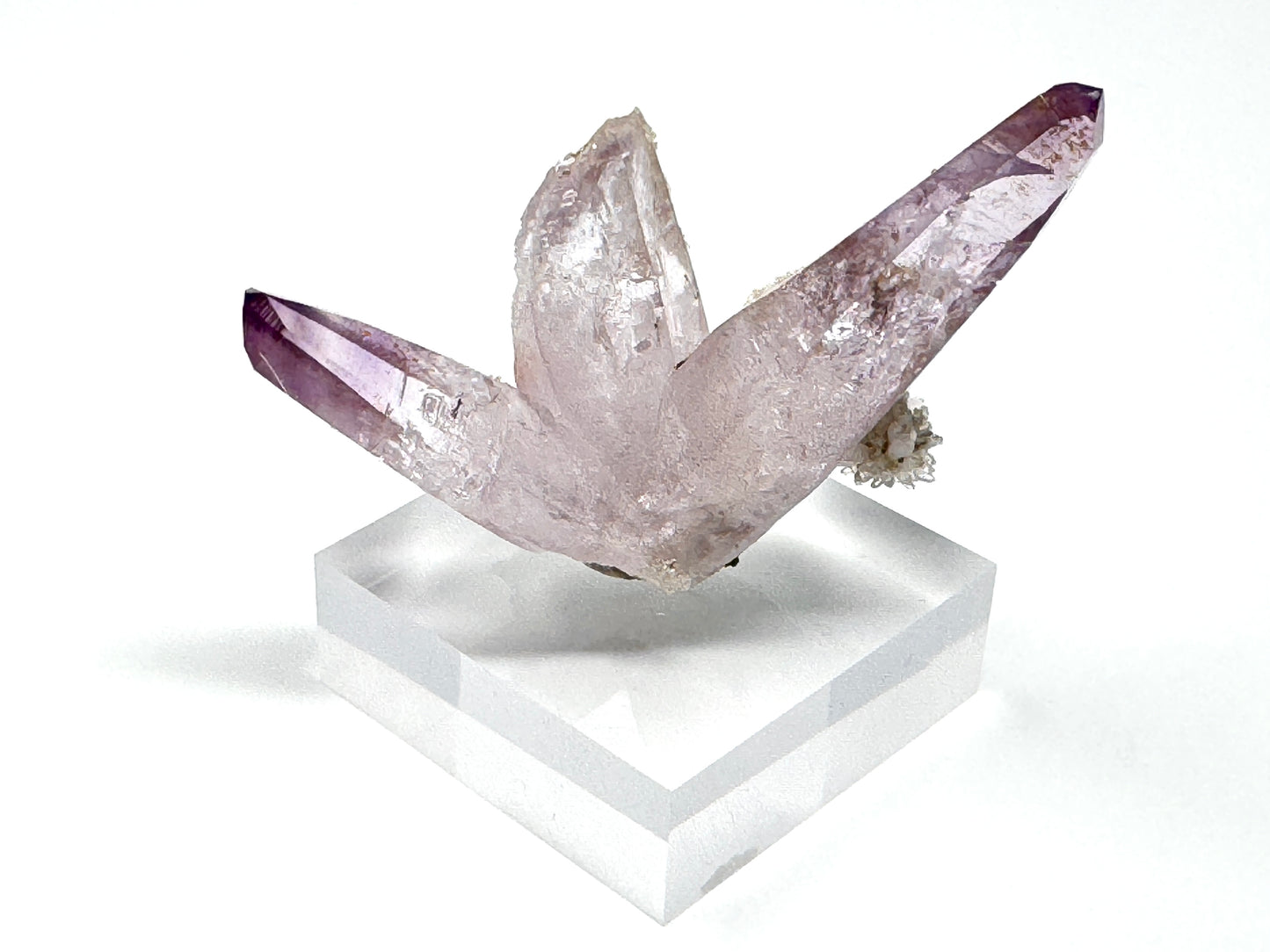 Raw Vera Cruz Amethyst Cluster 7.7cm