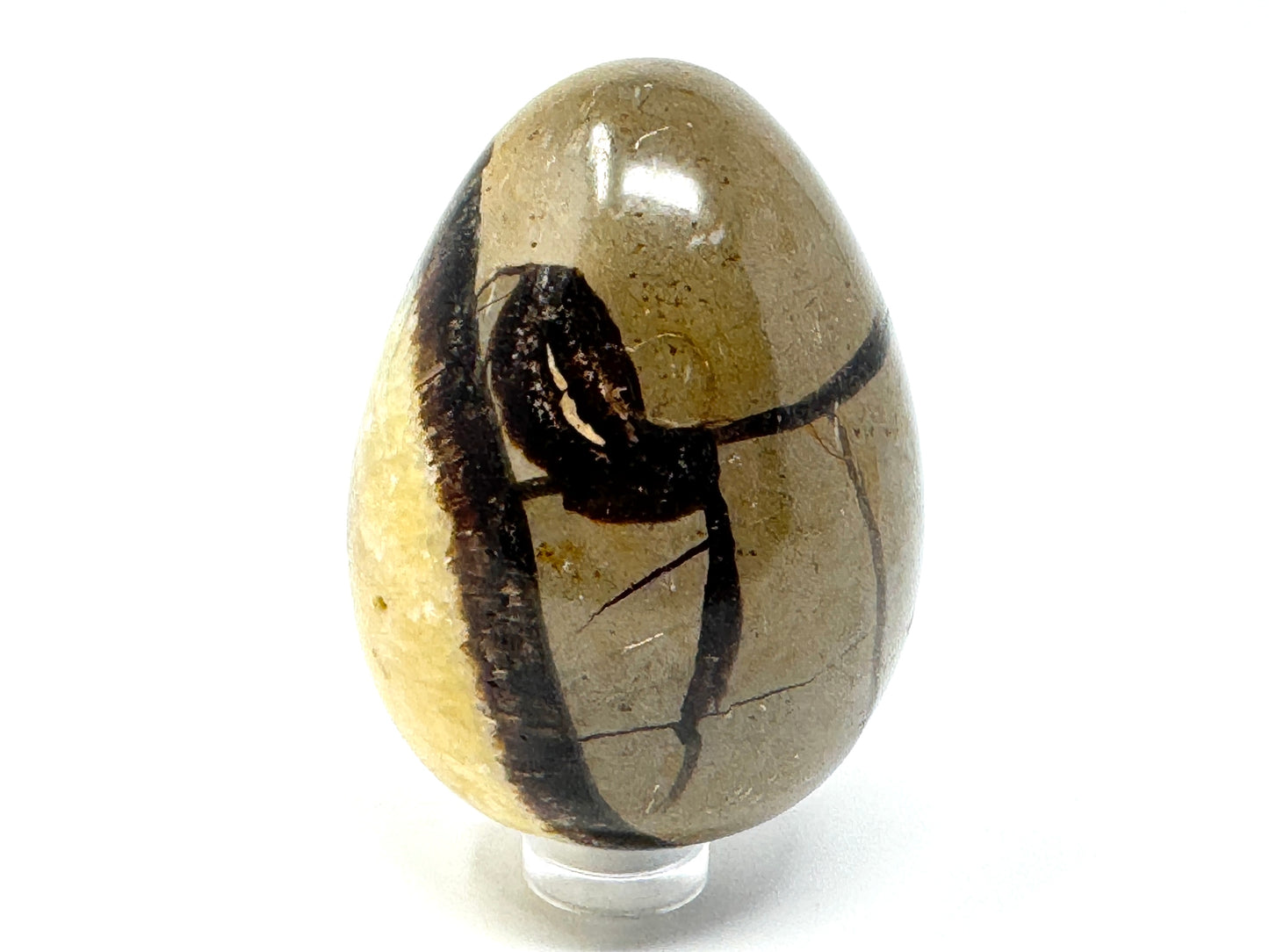 Yellow Septarian Egg Crystal 6.4cm