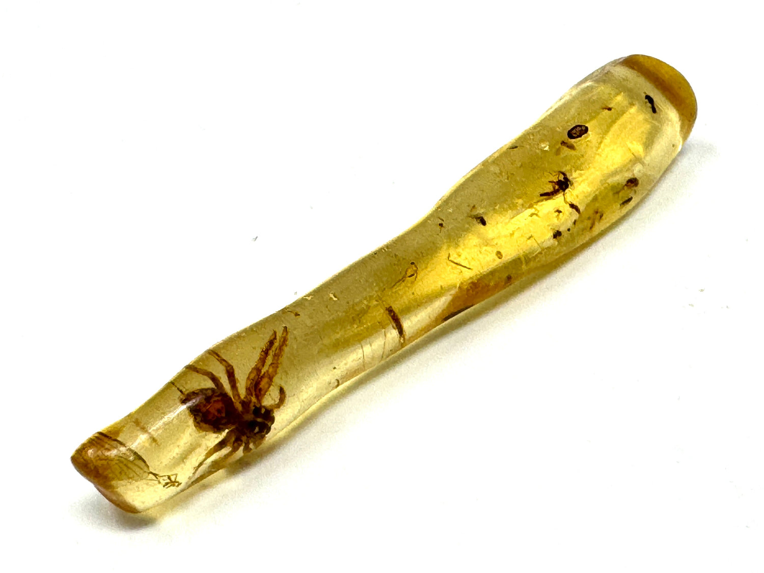 Copal fossil with spider