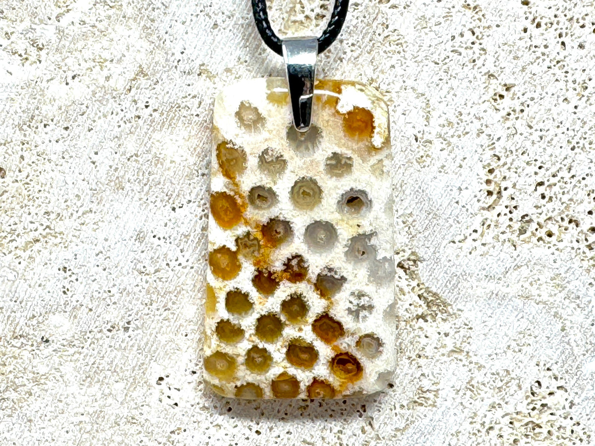 Fossil Coral Pendants