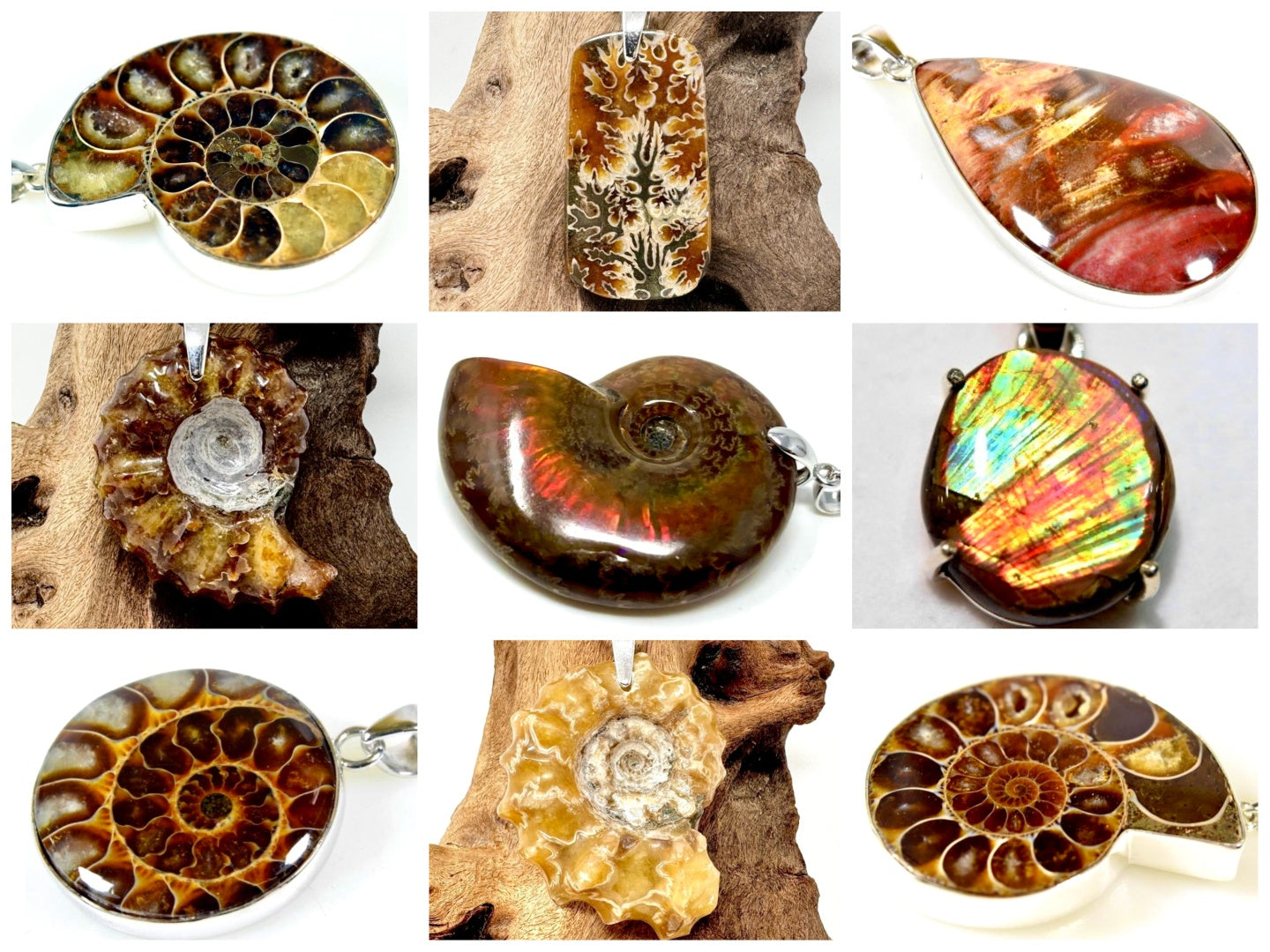 Fossil Pendants For Sale