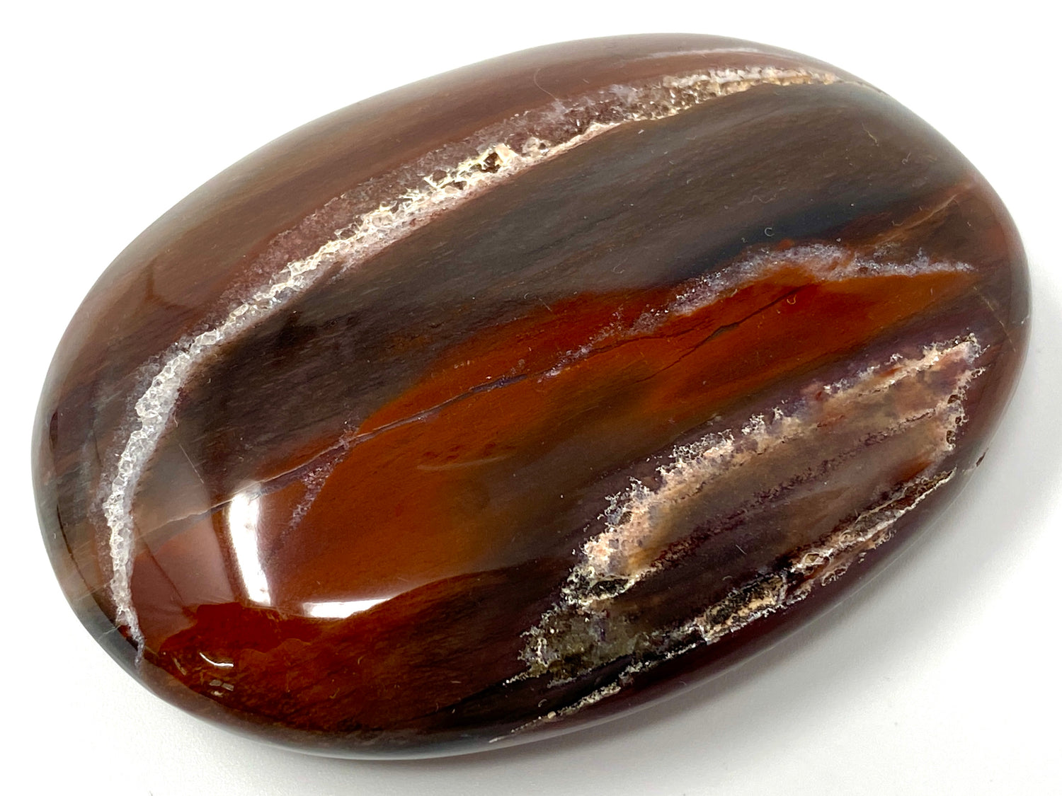 Fossil Wood Pebbles (India)