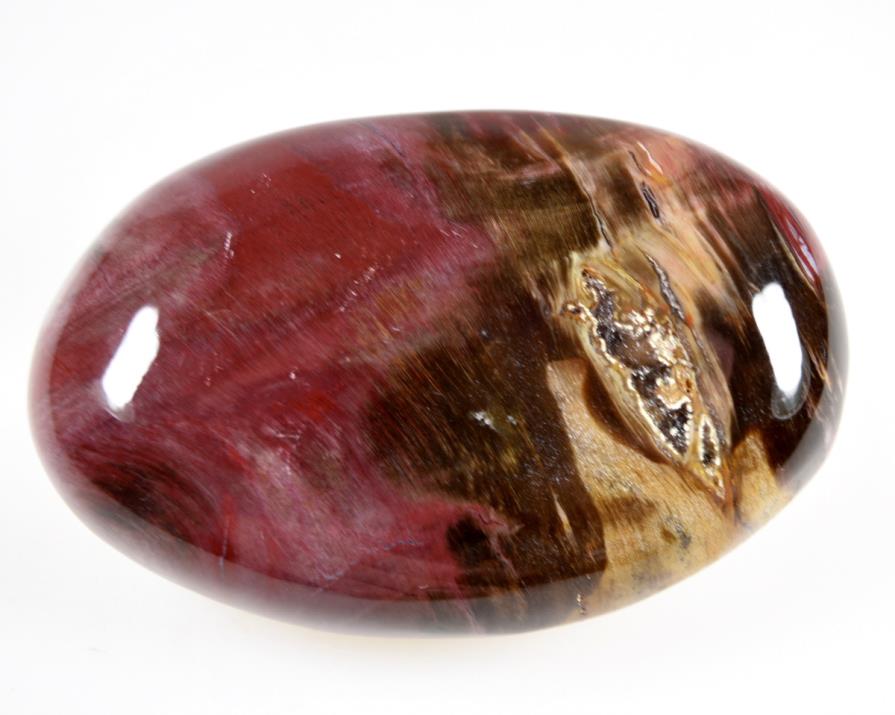 Fossil Wood Pebbles (Madagascar)