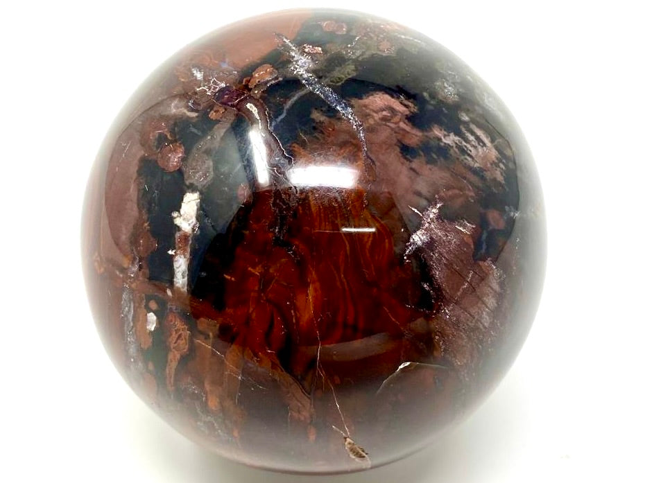 Fossil Wood Spheres (India)