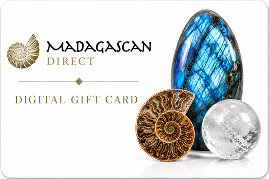 Madagascan Direct Digital Gift Card