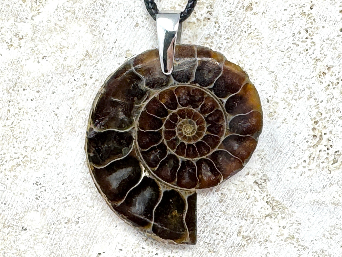 Ammonite Half Pendant 4cm