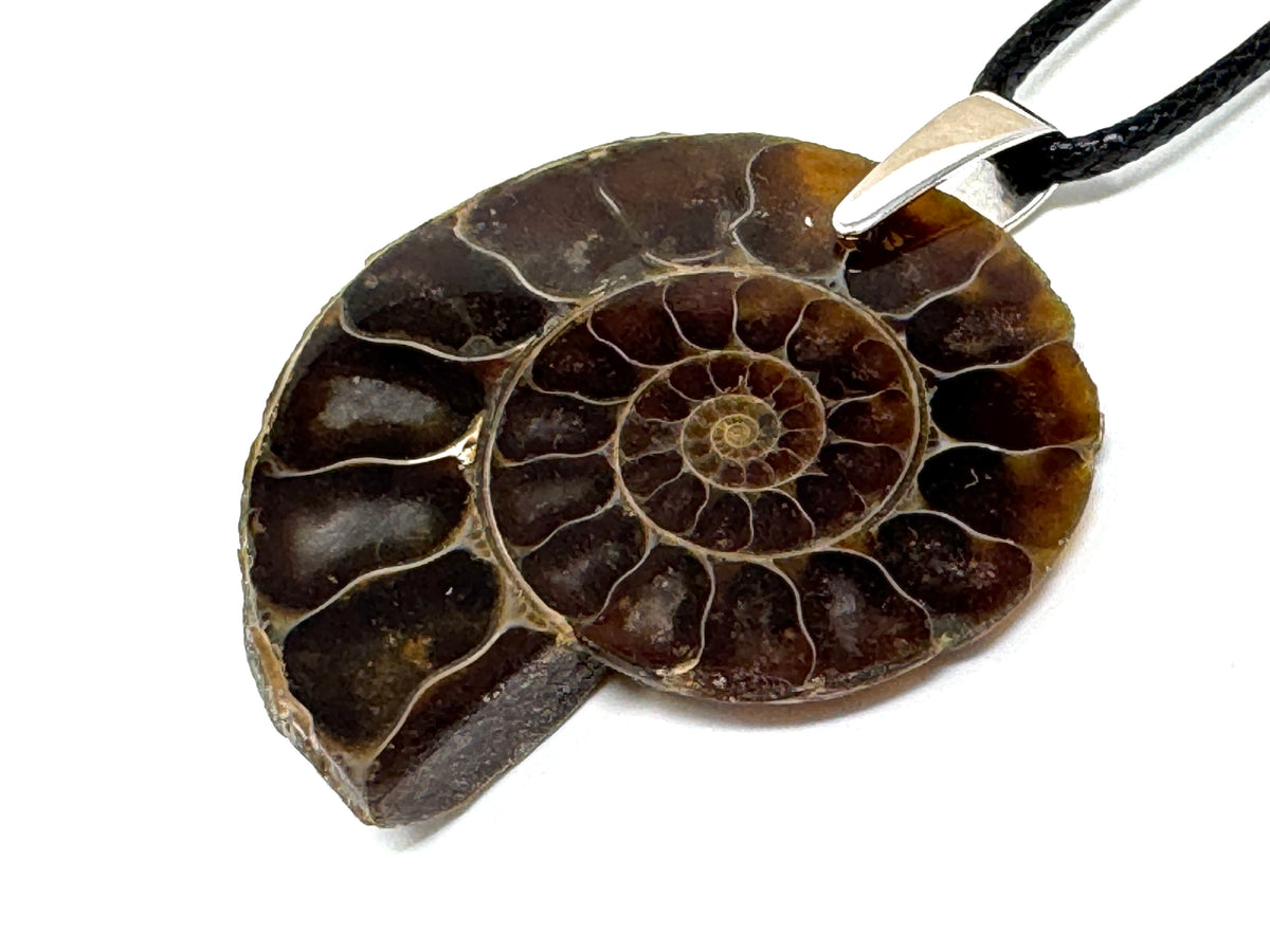 Ammonite Half Pendant 4cm