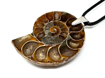 Ammonite Half Pendant 4.1cm