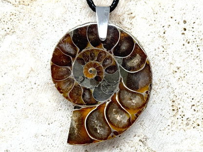Ammonite Half Pendant 4.1cm