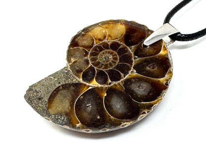 Ammonite Half Pendant 4cm