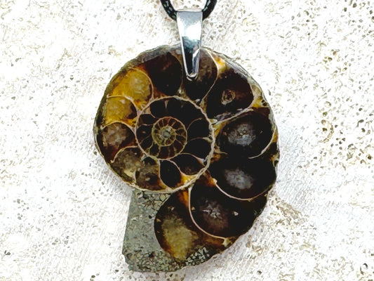 Ammonite Half Pendant 4cm
