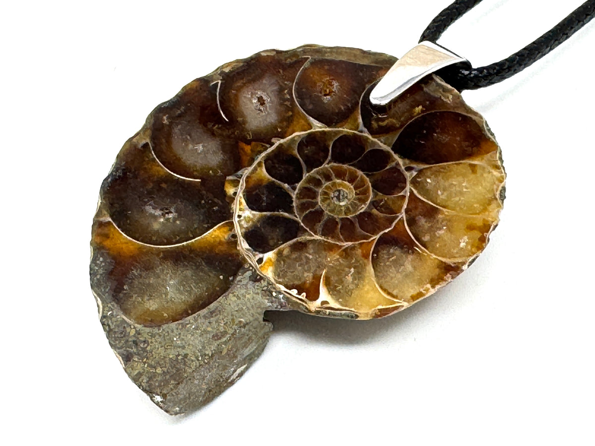 Ammonite Half Pendant 4.1cm
