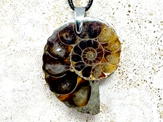 Ammonite Half Pendant 4.1cm