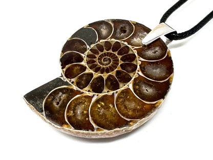Ammonite Half Pendant 4.1cm