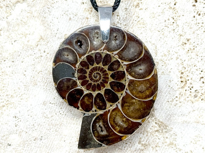 Ammonite Half Pendant 4.1cm