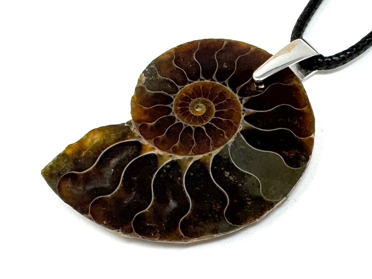Ammonite Half Pendant 4.2cm