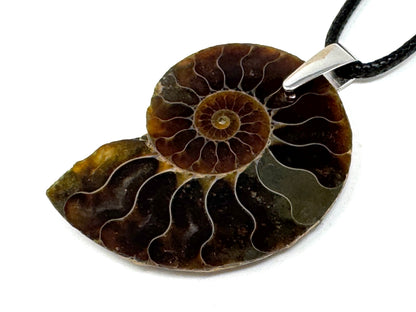 Ammonite Half Pendant 4.2cm