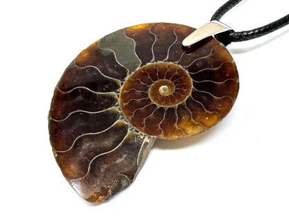 Ammonite Half Pendant 4.2cm