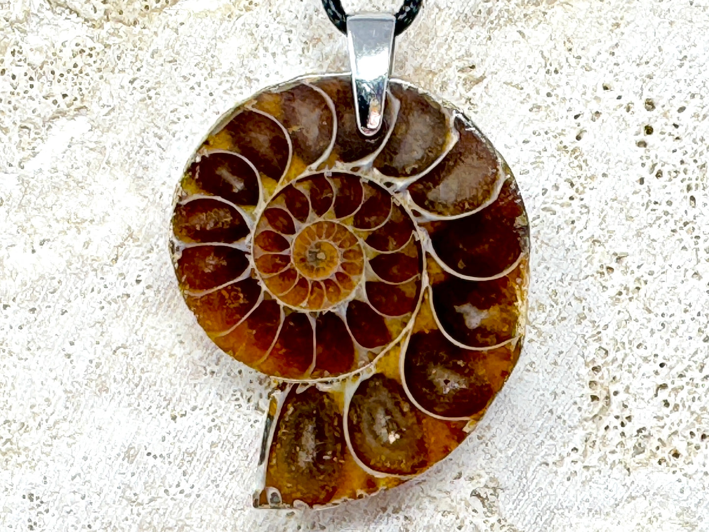 Ammonite Half Pendant 4.2cm