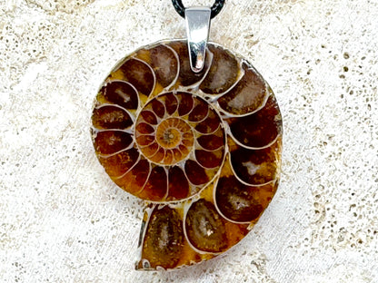 Ammonite Half Pendant 4.2cm