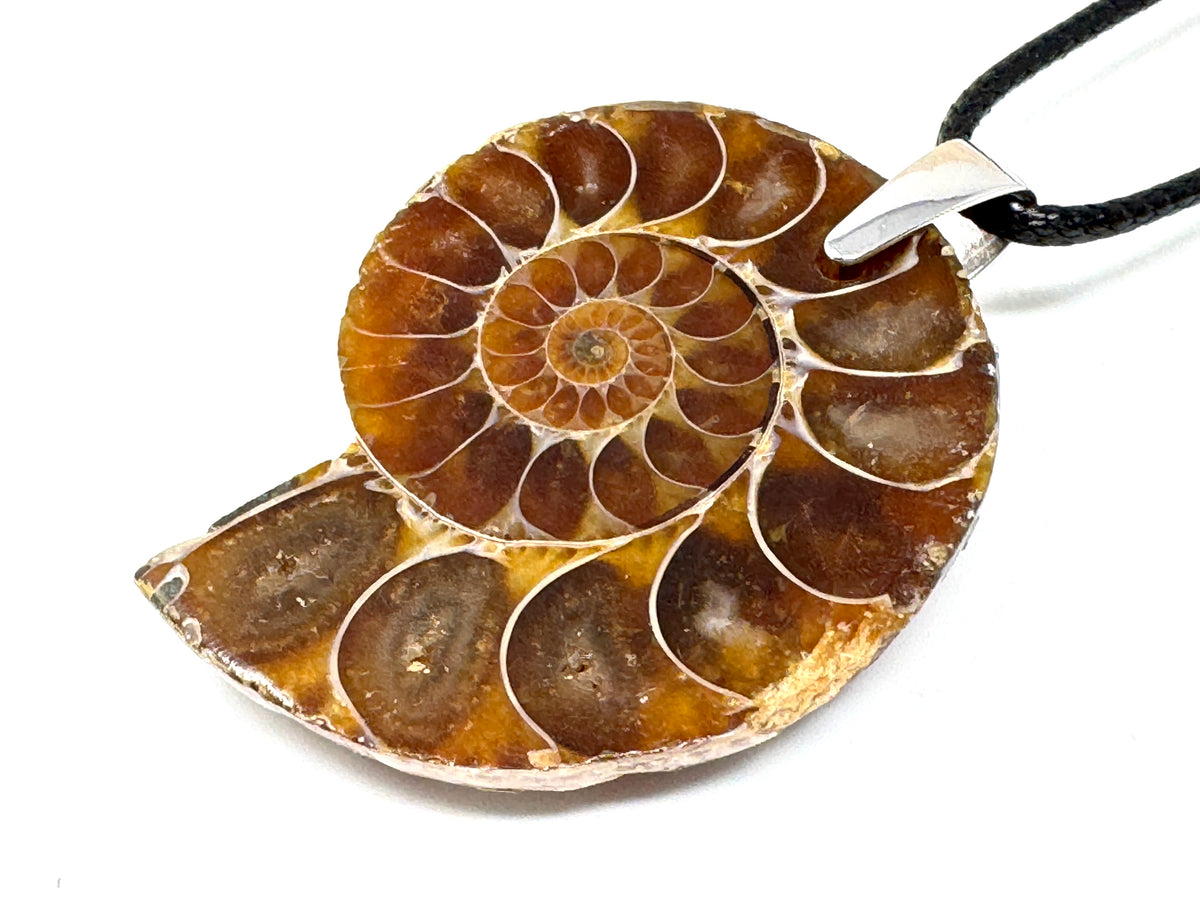 Ammonite Half Pendant 4.2cm