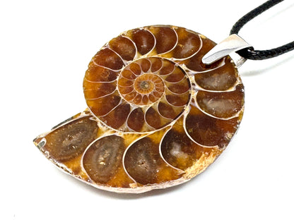 Ammonite Half Pendant 4.2cm