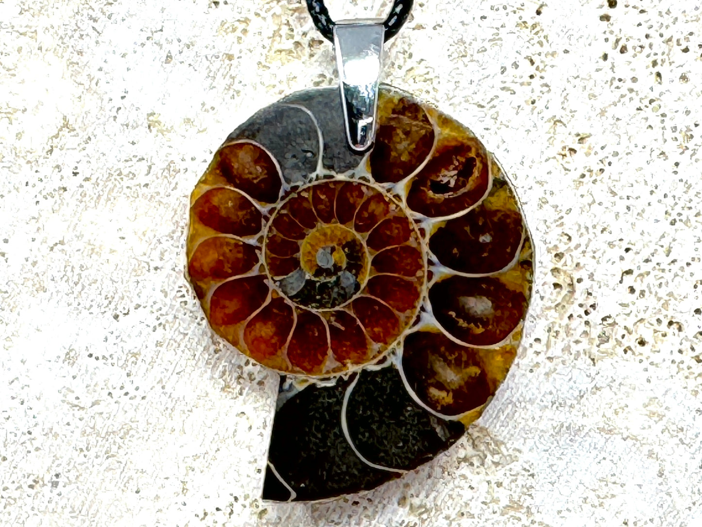 Ammonite Half Pendant 3.8cm
