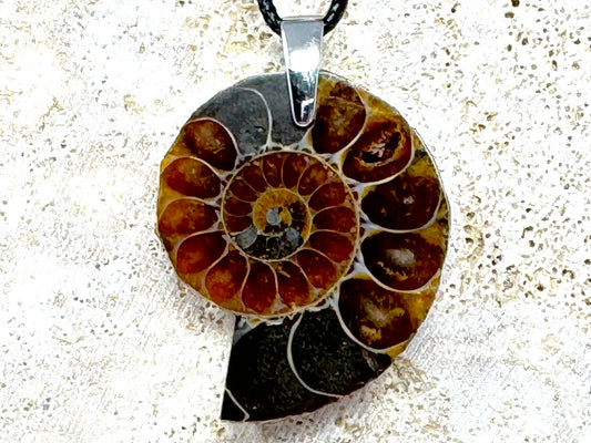 Ammonite Half Pendant 3.8cm