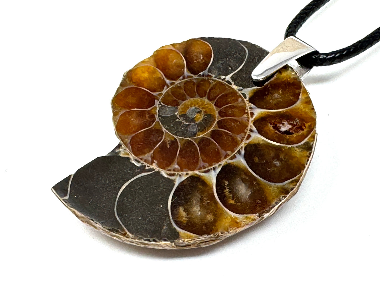 Ammonite Half Pendant 3.8cm